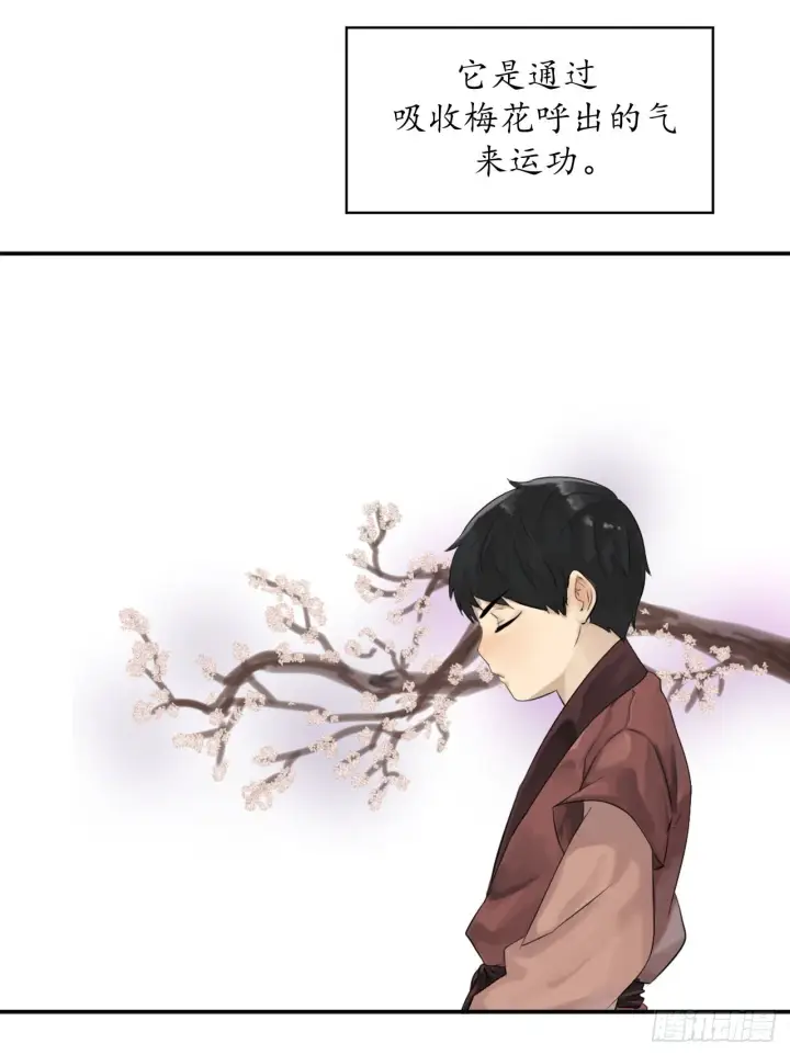 漫画《废柴重生之我要当大佬》2.玄妙功法第22张图
