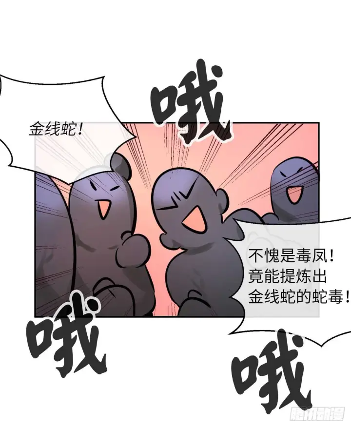 漫画《废柴重生之我要当大佬》59.再战毒凤第55张图