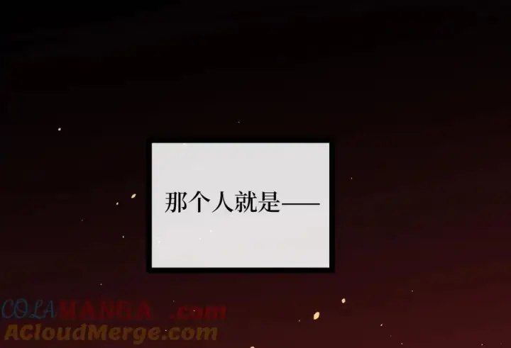 漫画《废柴重生之我要当大佬》240.推选盟主第193张图