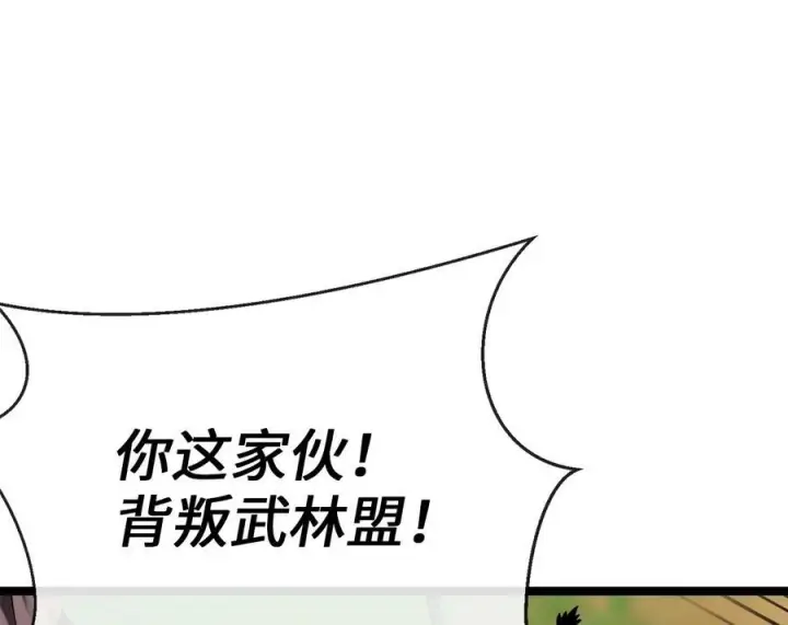 漫画《废柴重生之我要当大佬》240.推选盟主第248张图