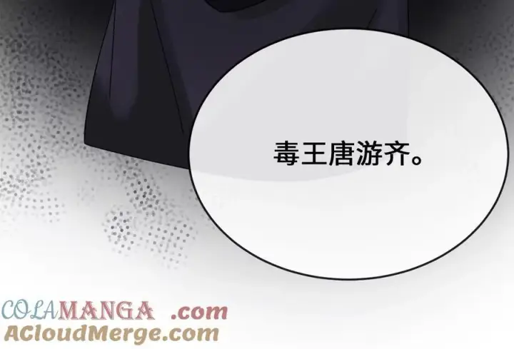 漫画《废柴重生之我要当大佬》240.推选盟主第37张图