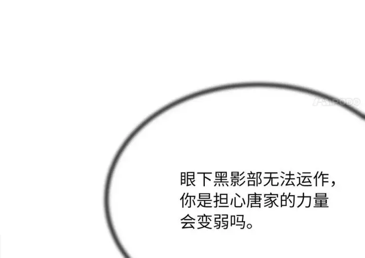 漫画《废柴重生之我要当大佬》240.推选盟主第54张图