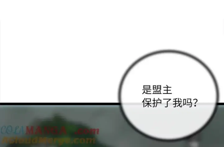 漫画《废柴重生之我要当大佬》252.撤退计划第241张图