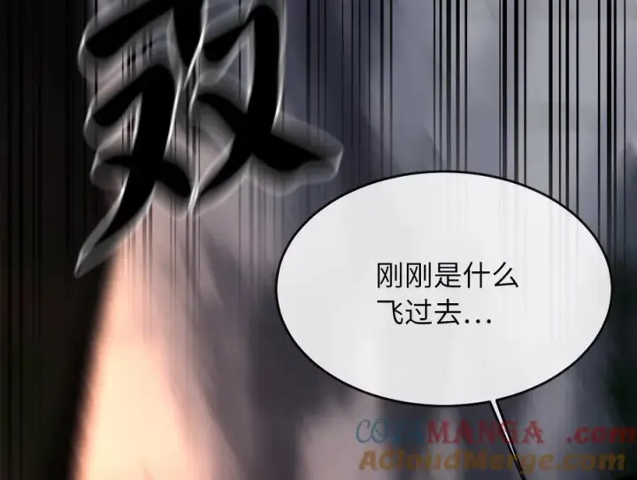 漫画《废柴重生之我要当大佬》257.夜袭水寨第101张图