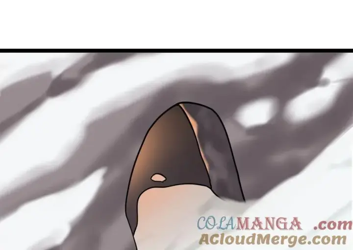 漫画《废柴重生之我要当大佬》262.武力征服第9张图
