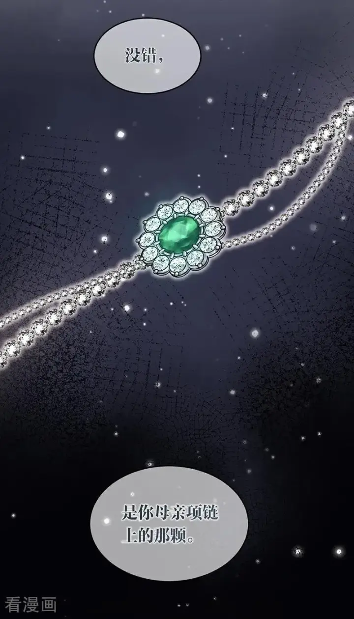 漫画《公爵家的毒之花》第15话 晚宴第11张图