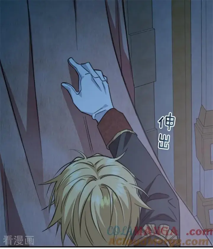 漫画《公爵家的毒之花》第18话 血的代价第29张图
