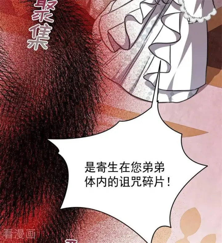 漫画《公爵家的毒之花》第44话 诅咒之影第27张图