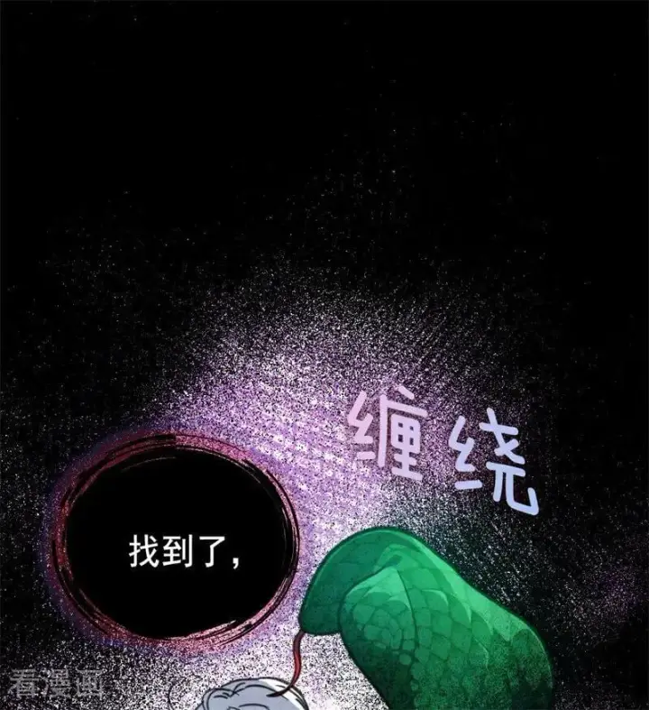 漫画《公爵家的毒之花》第44话 诅咒之影第66张图