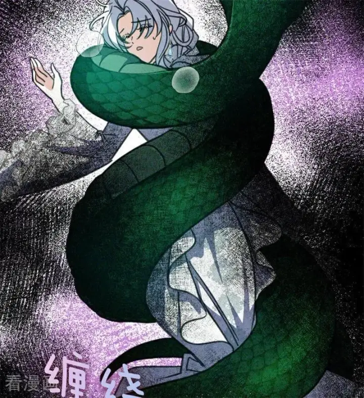 漫画《公爵家的毒之花》第44话 诅咒之影第67张图