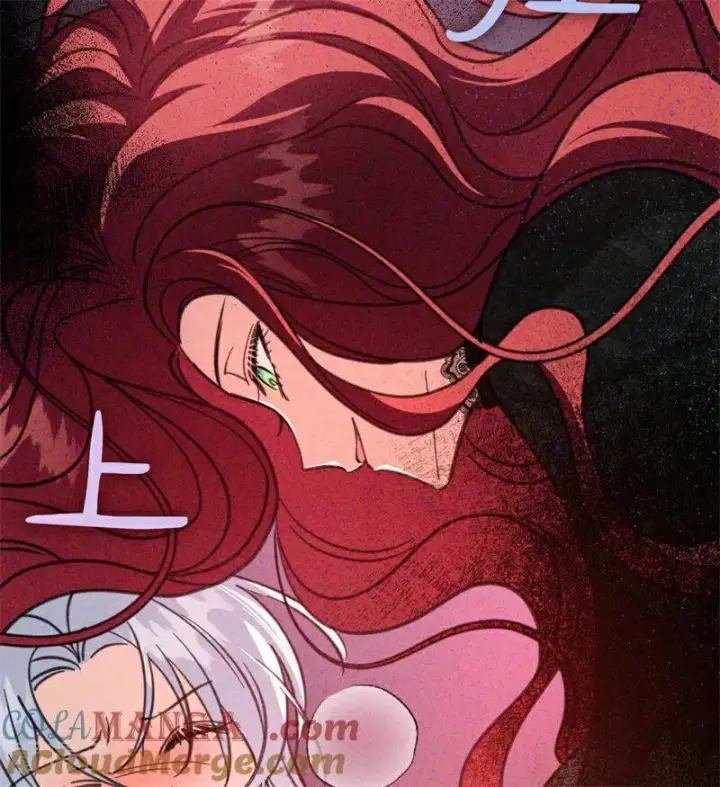 漫画《公爵家的毒之花》第44话 诅咒之影第69张图