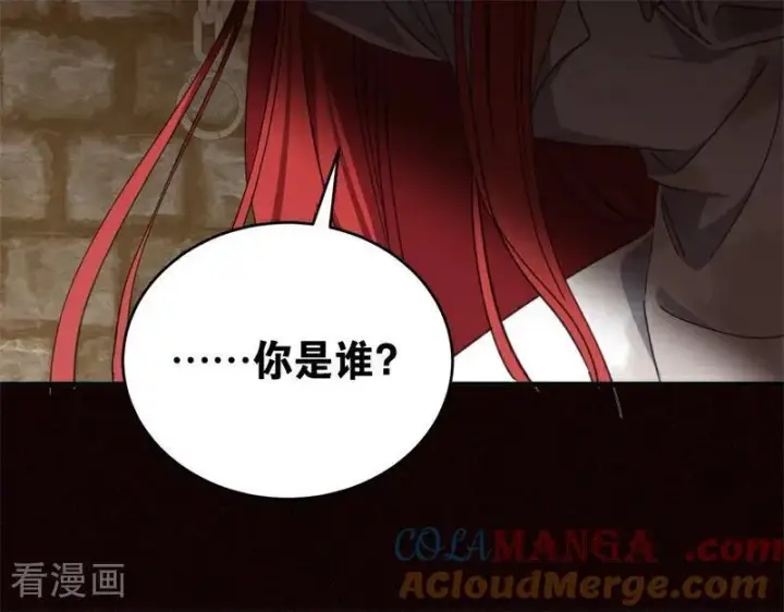 漫画《公爵家的毒之花》第60话 阴谋第31张图