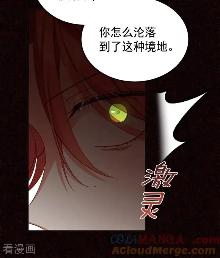 漫画《公爵家的毒之花》第60话 阴谋第34张图