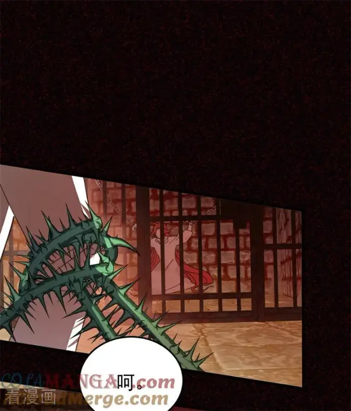 漫画《公爵家的毒之花》第60话 阴谋第67张图