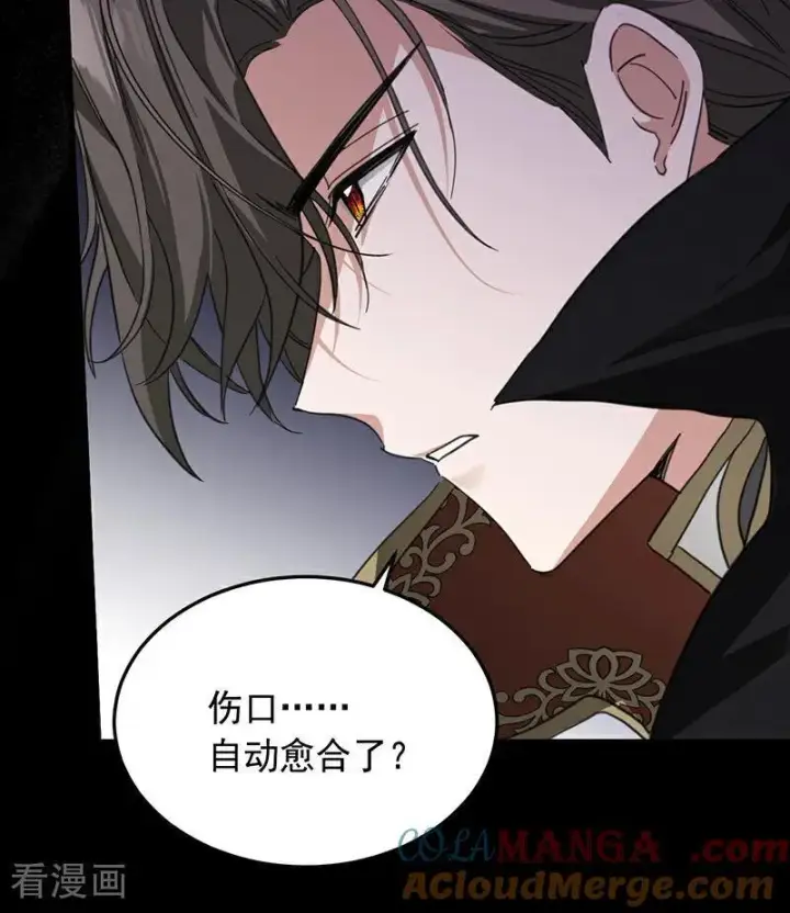 漫画《公爵家的毒之花》第67话 召唤英灵第40张图