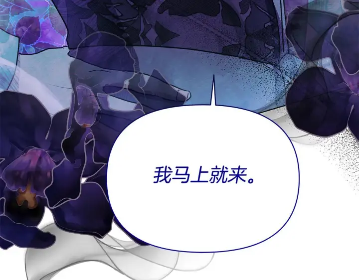 漫画《公女今日起罢工》第41话 我要亲自去第109张图