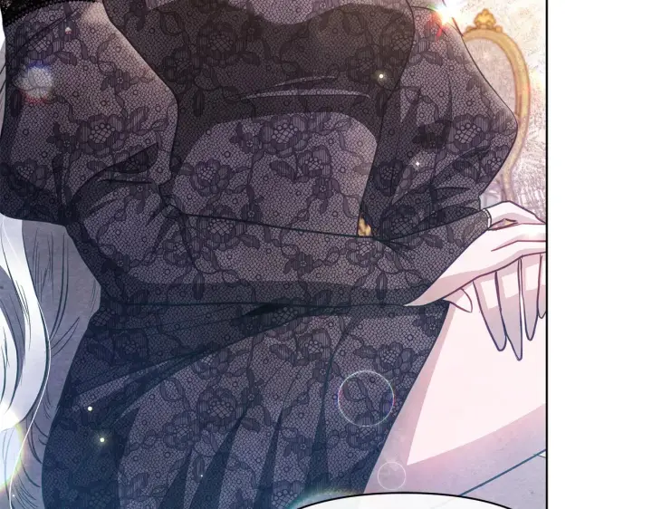 漫画《公女今日起罢工》第41话 我要亲自去第133张图