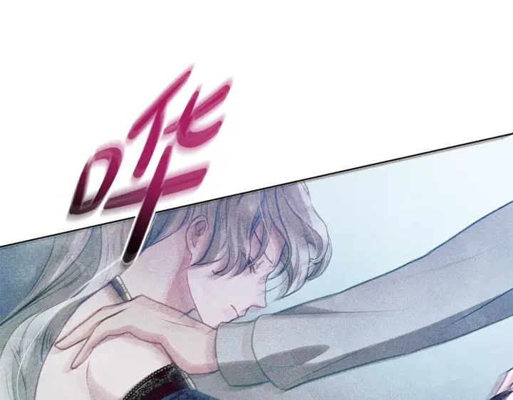 漫画《公女今日起罢工》第41话 我要亲自去第181张图
