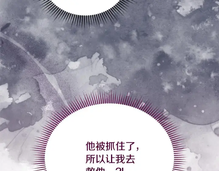 漫画《公女今日起罢工》第41话 我要亲自去第42张图