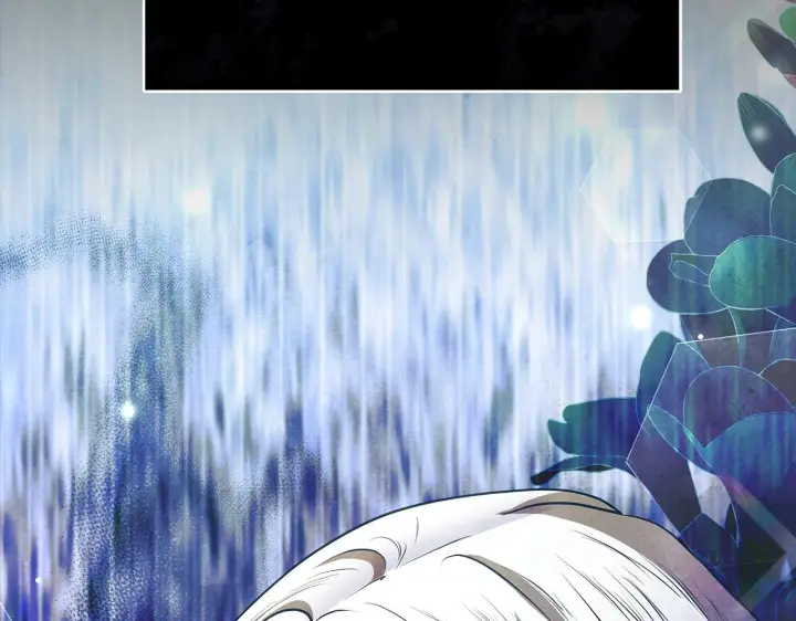 漫画《公女今日起罢工》第51话 是母亲吗？第137张图