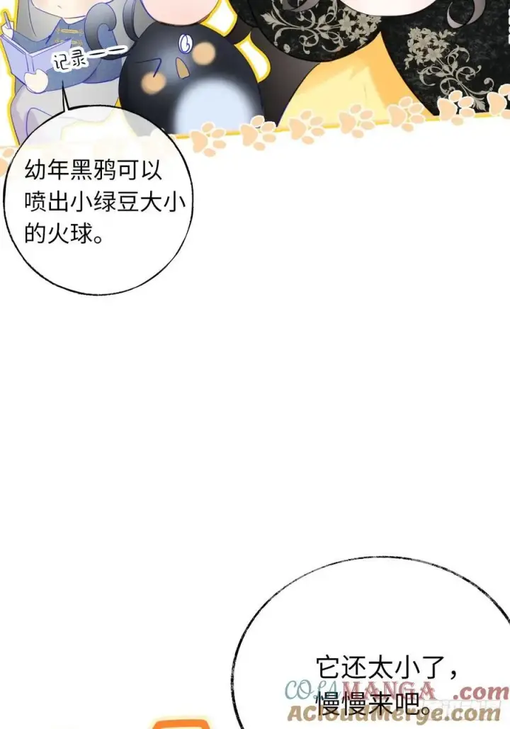 漫画《黑化魔女只好成为反派了》14第34张图