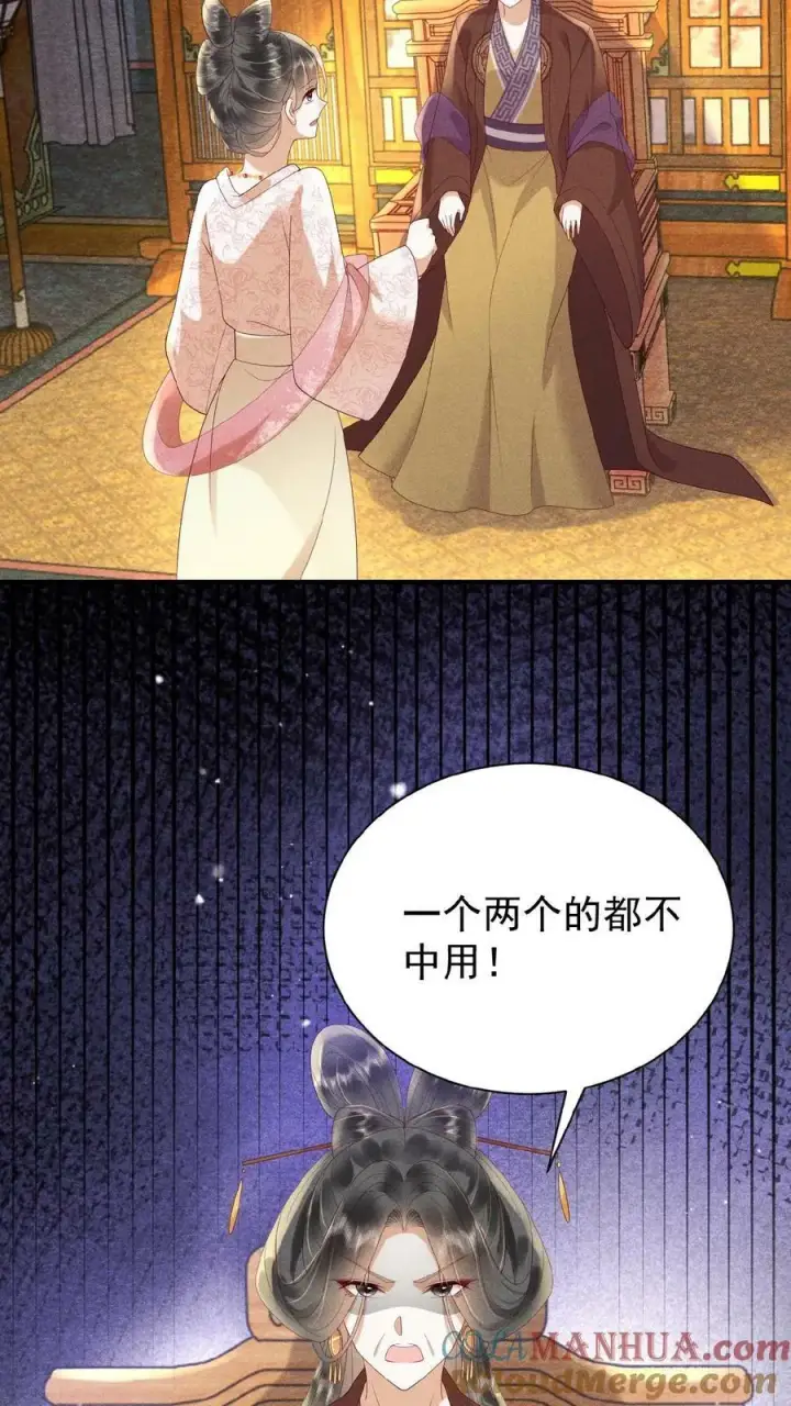 漫画《娇娇贵妃手段高，皇帝不经撩》第117话 相似的两人第25张图
