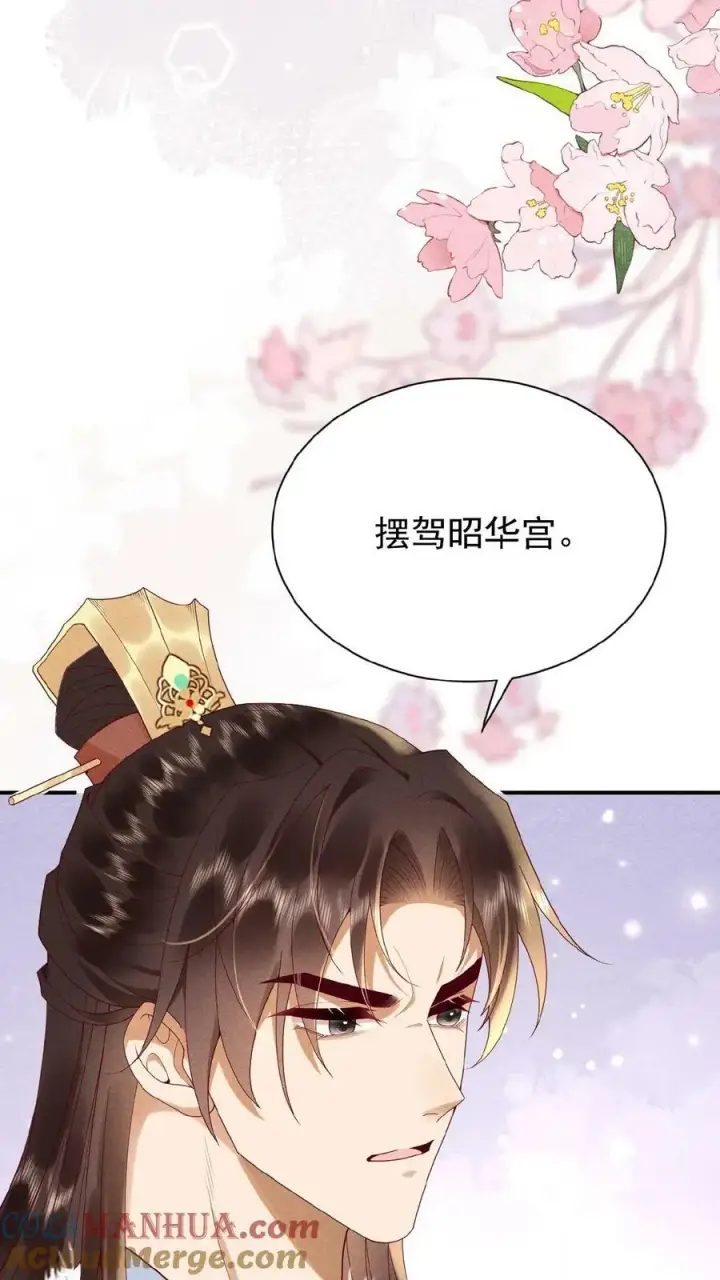 漫画《娇娇贵妃手段高，皇帝不经撩》第117话 相似的两人第31张图