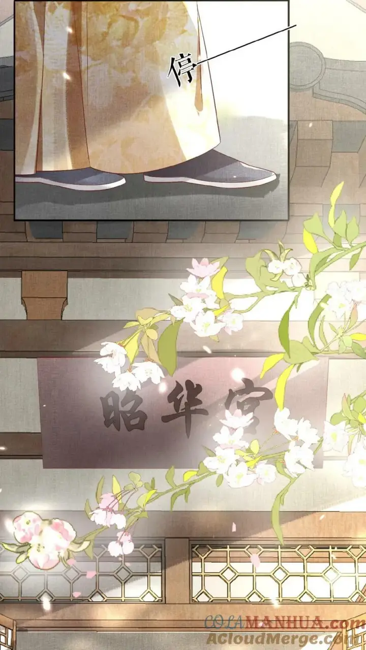 漫画《娇娇贵妃手段高，皇帝不经撩》第146话 可笑的母子情第23张图