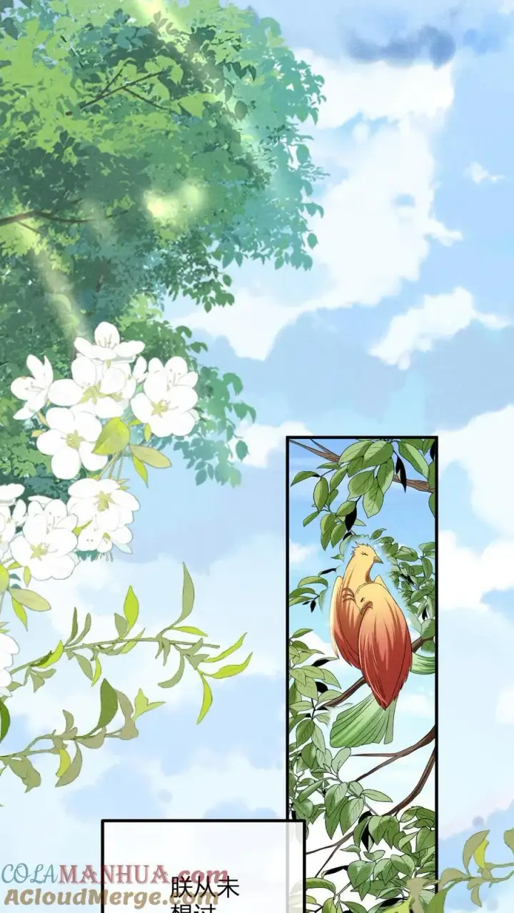 漫画《娇娇贵妃手段高，皇帝不经撩》第214话 桃花最有情第17张图