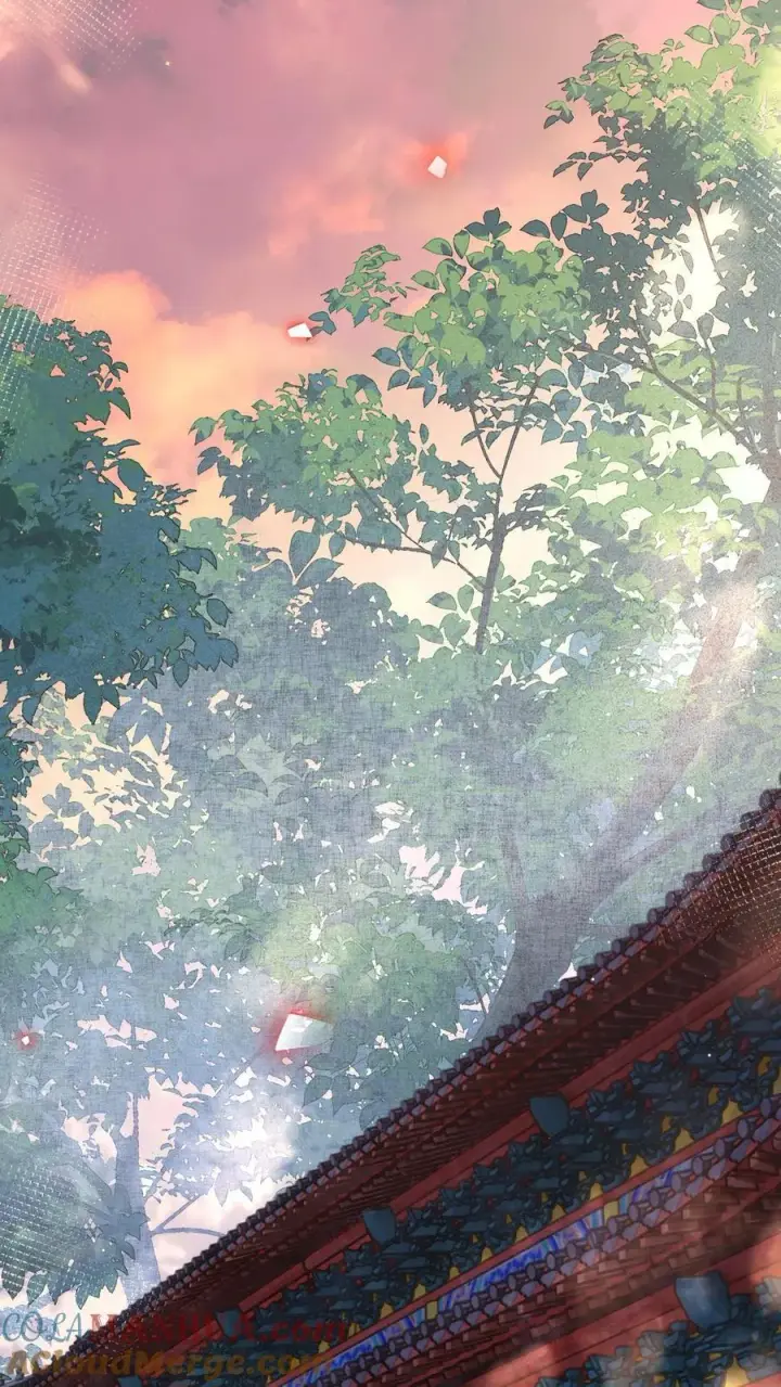 漫画《娇娇贵妃手段高，皇帝不经撩》第223话 长寿面第17张图