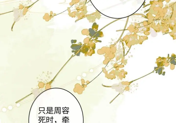 漫画《娇养了个疯批美人儿》078 为何？第24张图