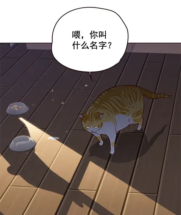 漫画《觉醒吧，铲屎官！》第1话第111张图