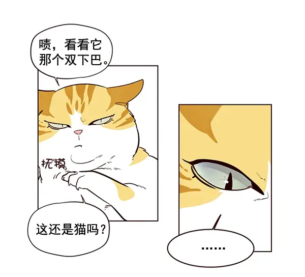 漫画《觉醒吧，铲屎官！》第1话第129张图