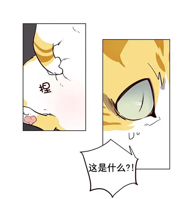 漫画《觉醒吧，铲屎官！》第1话第130张图