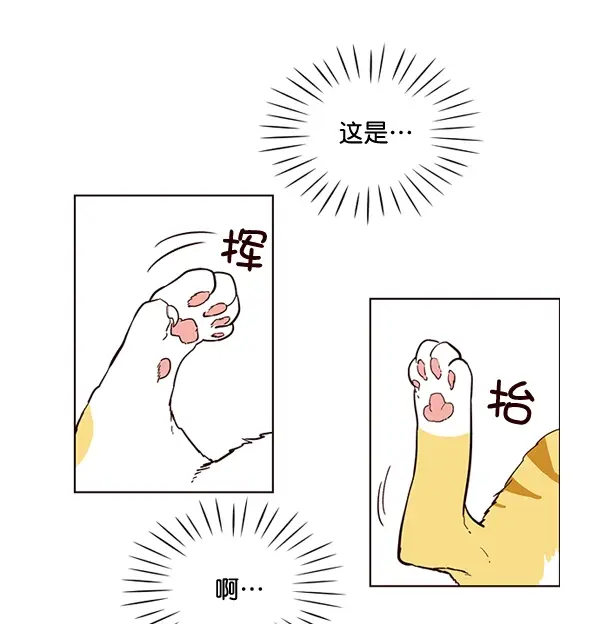 漫画《觉醒吧，铲屎官！》第1话第68张图