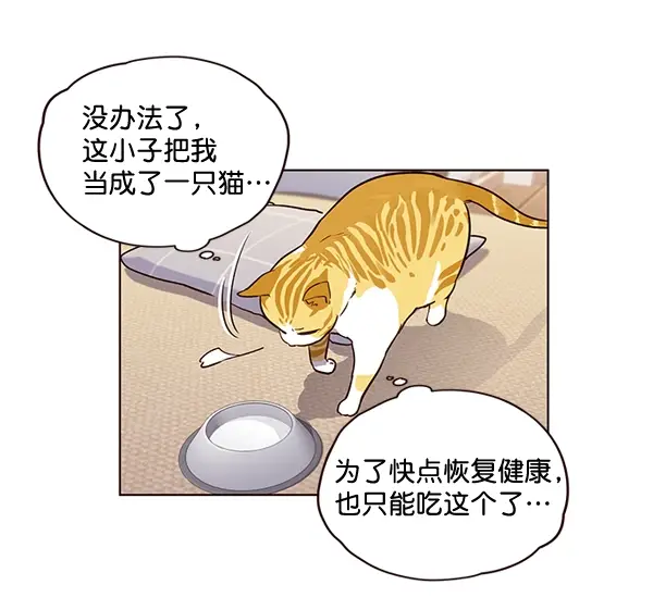 漫画《觉醒吧，铲屎官！》第1话第96张图