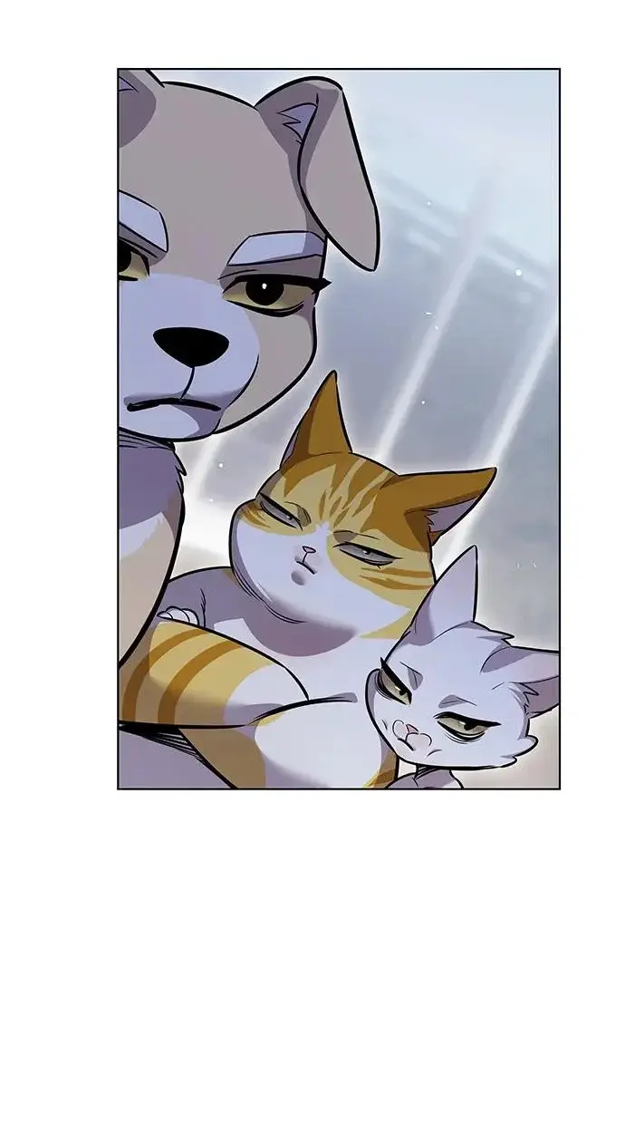 漫画《觉醒吧，铲屎官！》第406话第114张图