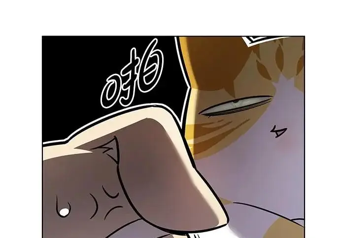 漫画《觉醒吧，铲屎官！》第406话第167张图