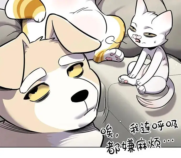 漫画《觉醒吧，铲屎官！》第406话第176张图