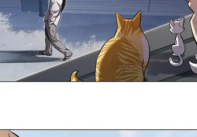 漫画《觉醒吧，铲屎官！》第407话第78张图
