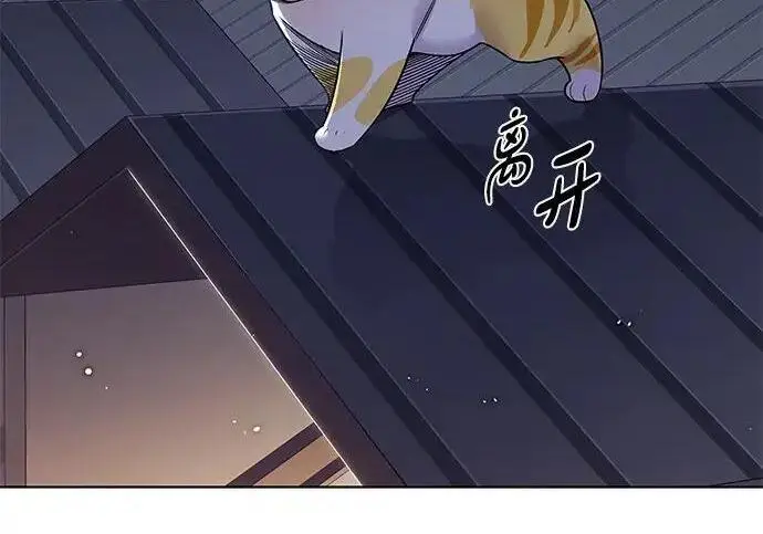 漫画《觉醒吧，铲屎官！》第408话第254张图