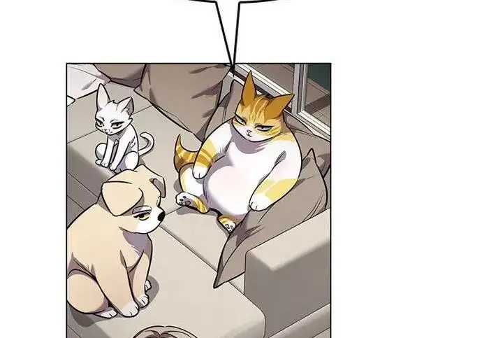 漫画《觉醒吧，铲屎官！》第408话第75张图