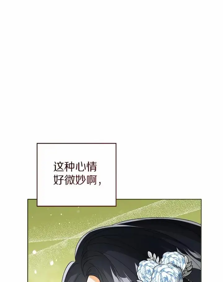 漫画《看见状态栏的宝贝皇女》112.红色胸针事件（3）第26张图