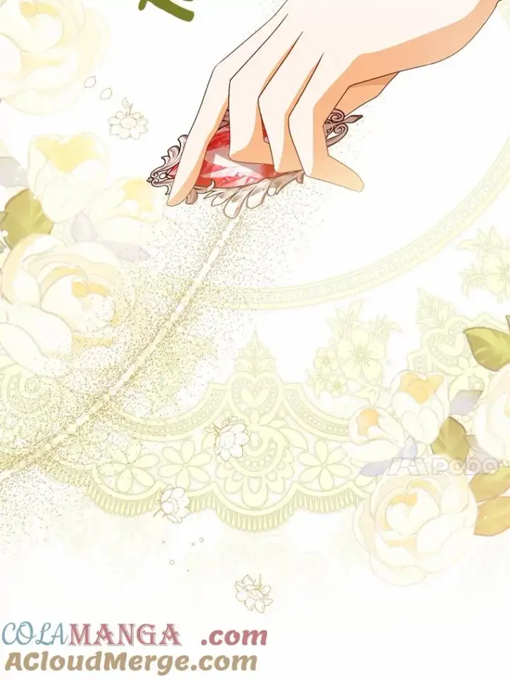 漫画《看见状态栏的宝贝皇女》112.红色胸针事件（3）第97张图
