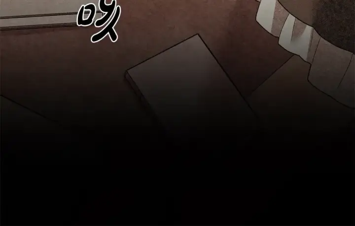 漫画《掠夺婚姻》第6话 库坎王来了！第29张图