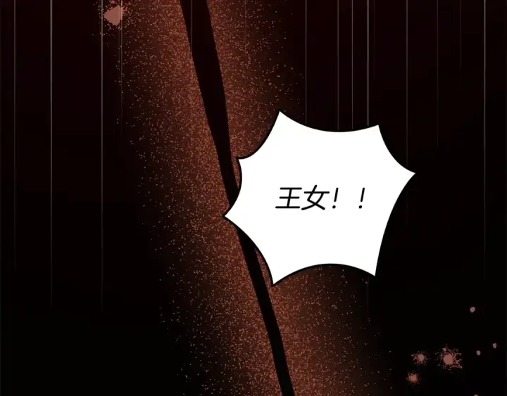 漫画《掠夺婚姻》第23话 王女晕倒了第93张图