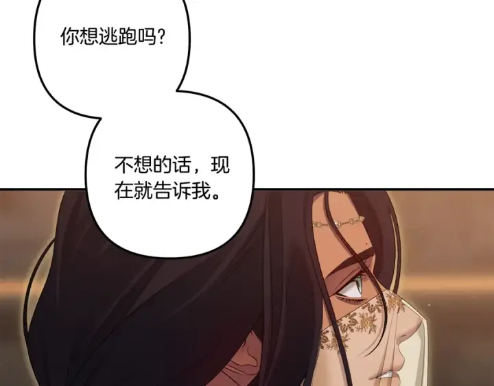 漫画《掠夺婚姻》第31话 异域美男第171张图