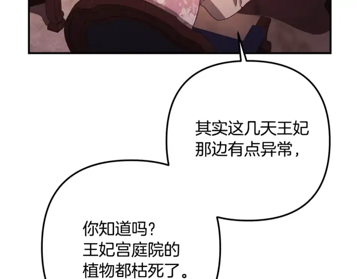 漫画《掠夺婚姻》第60话 罗姆的术师第133张图