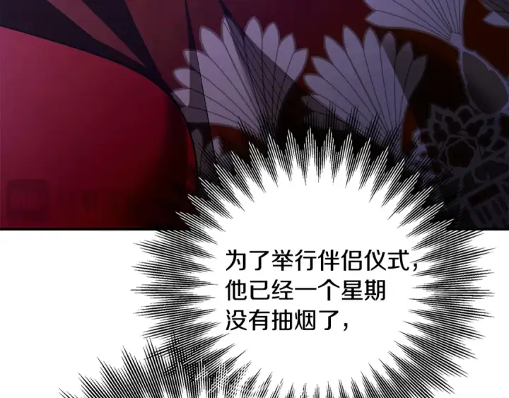 漫画《掠夺婚姻》第74话 新婚之夜第37张图