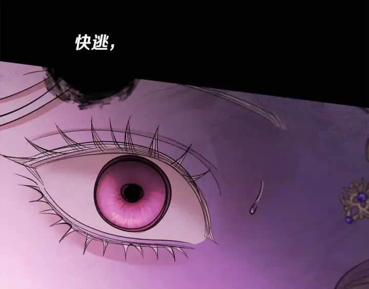 漫画《掠夺婚姻》完结话 再次回到艾斯提尔国第25张图